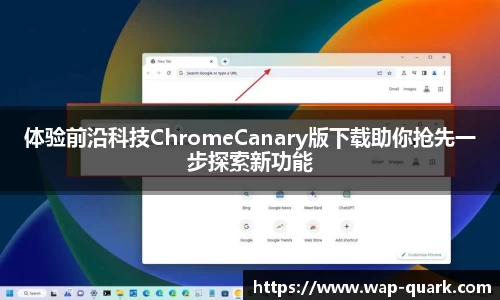 体验前沿科技ChromeCanary版下载助你抢先一步探索新功能